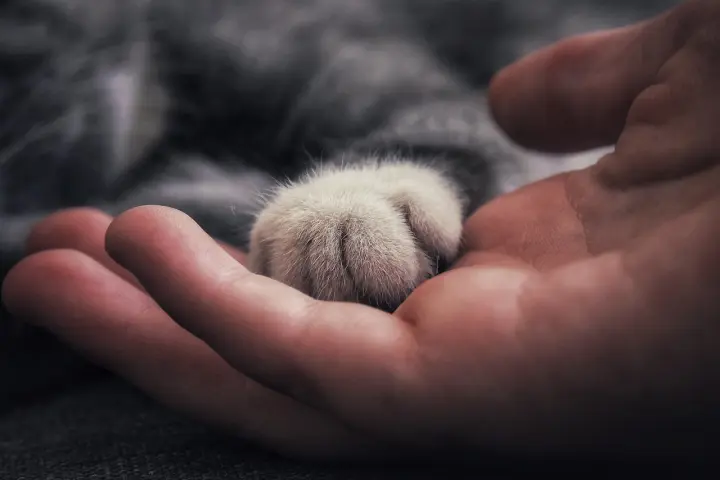 26e3b764a74424975bc803c018d5dc52.jpg