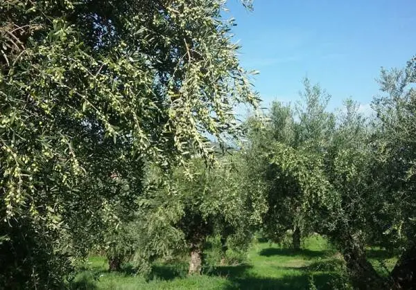 3d0587aa6ba7ed0324d699365a878448.jpg