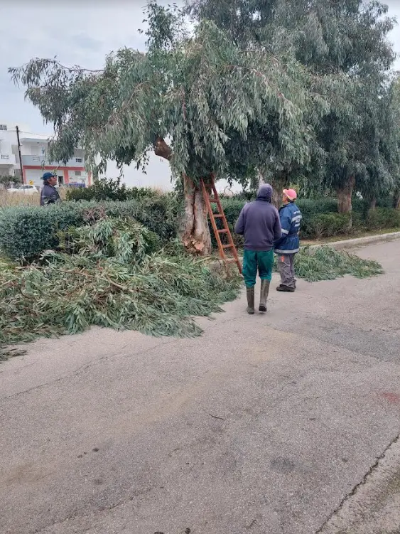 51caaea21c84ccf1ce26385224fe1ff8.jpg