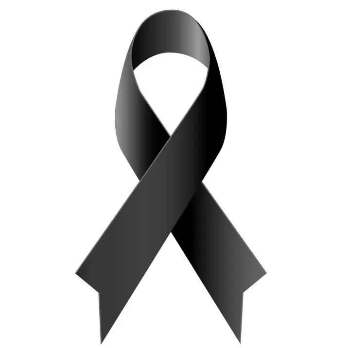 51f16f674368d7d98cb29b154f8e1fb0.jpg