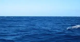 56b81fe824e177a5fa71331e5c42c079.jpg