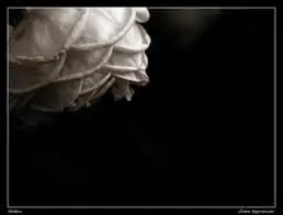 874c20ad8744790222a4dd5b3d117684.jpg