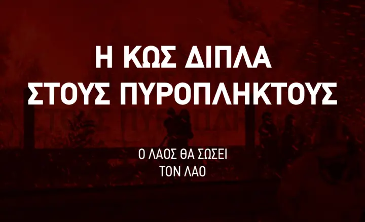 cecfb0239a6196dd1ea022eedc144206.jpg