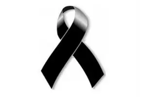 cfafa3b4df6bf41c2f6acd9768e50895.jpg