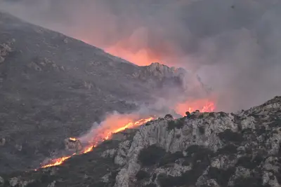 Φωτογραφία