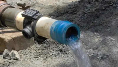 deuak1.jpg