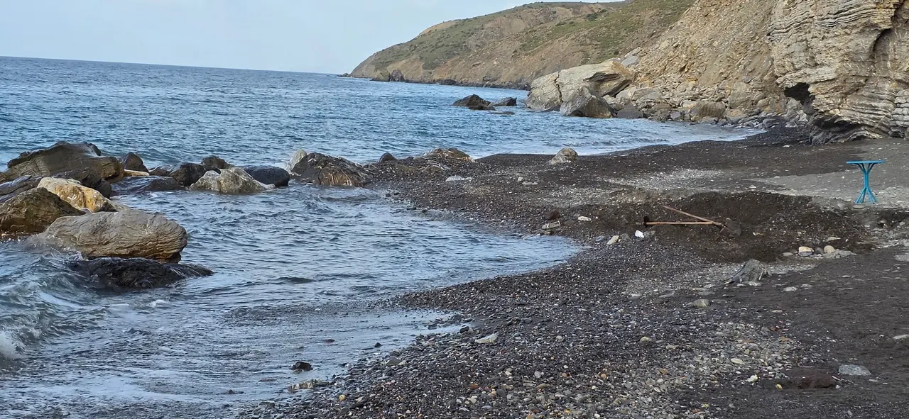 1000160865.jpg
