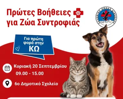 stighmiotipo-othonis-2026-09-04-103618.png